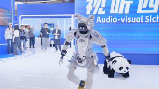 争宠